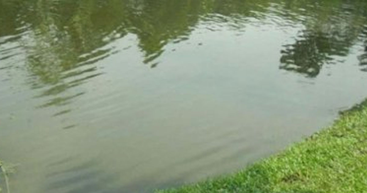 মিরসরাইয়ে পুকুরে ডুবে প্রাণ গেল ২ শিশুর