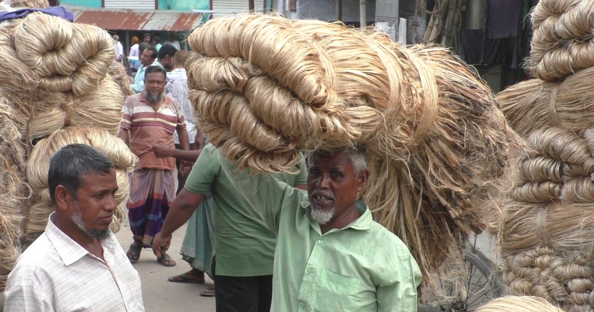 পাটের দামে রেকর্ড