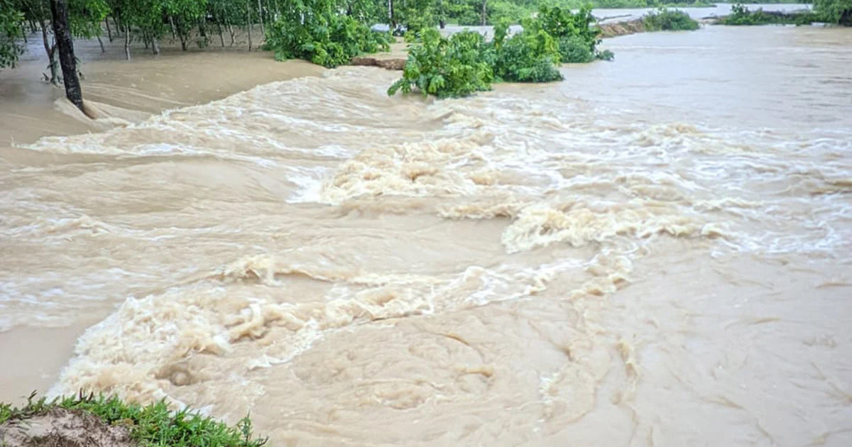 দেশের ১০ জেলায় বন্যার আভাস