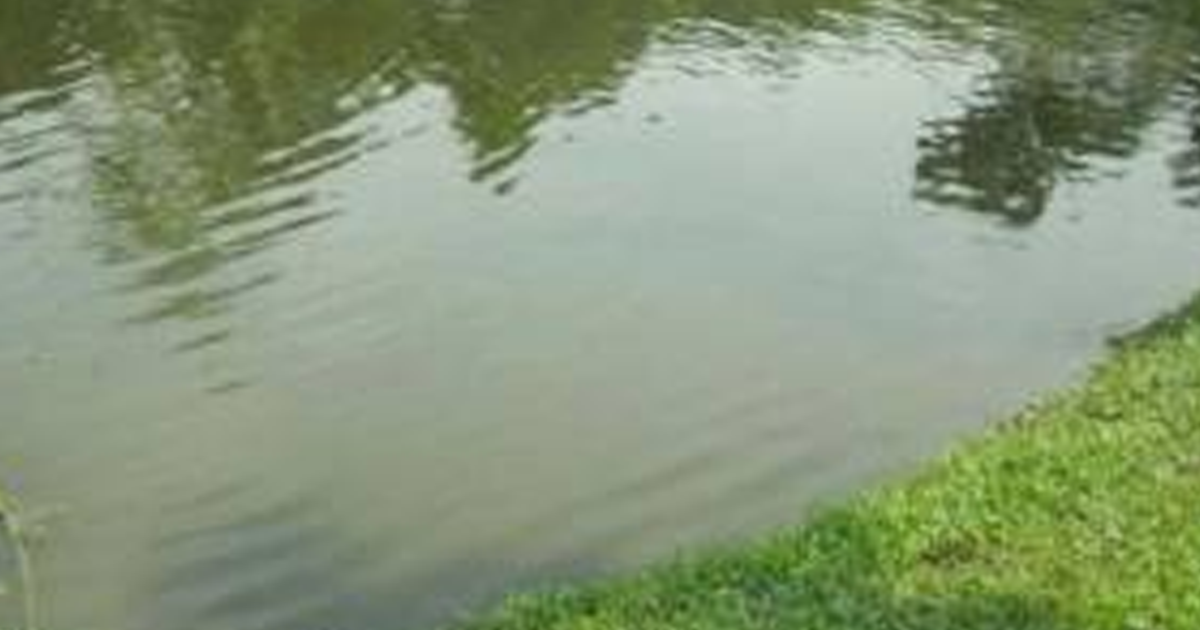 পঞ্চগড়ে পানিতে ডুবে ৩ শিশুর মৃত্যু
