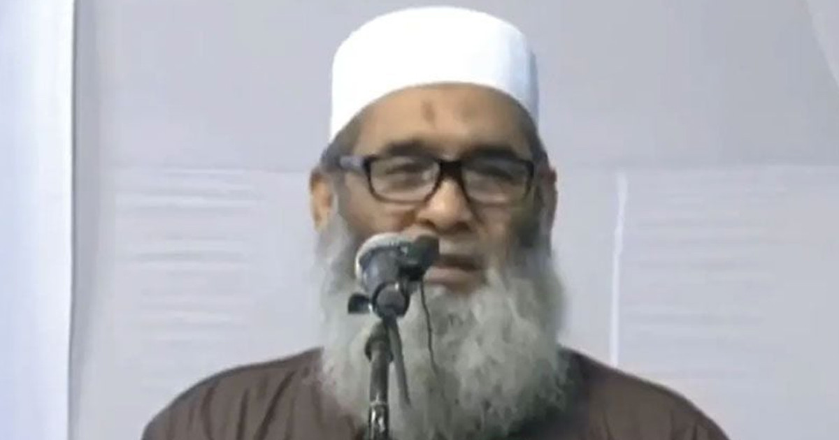 জনগণের ভোটের মূল্যায়নে পিআর পদ্ধতির বিকল্প নেই: অধ্যাপক মুজিবুর রহমান