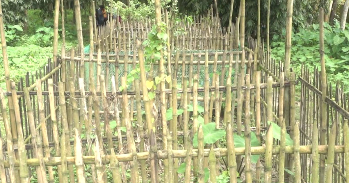 উল্লাপাড়ায় কবরস্থান থেকে ৭ কঙ্কাল চুরি, এলাকায় চাঞ্চল্য