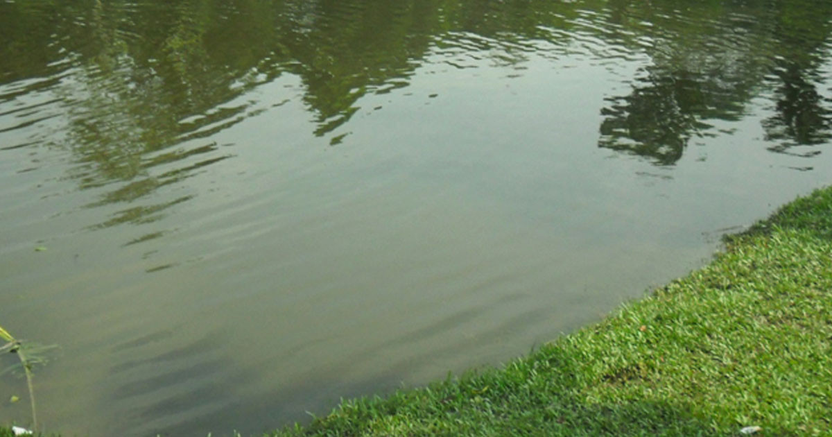 বরিশালে পানিতে ডুবে মাদ্রাসাছাত্রের মৃত্যু