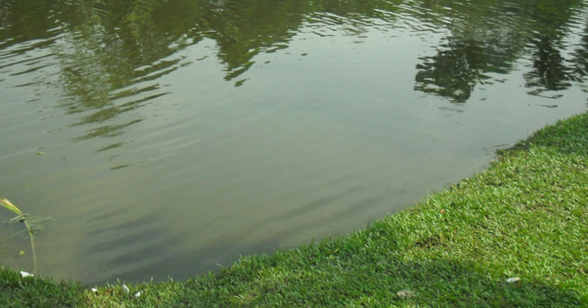 নড়াইলে পুকুরে ডুবে প্রাণ গেল ভাইবোনের
