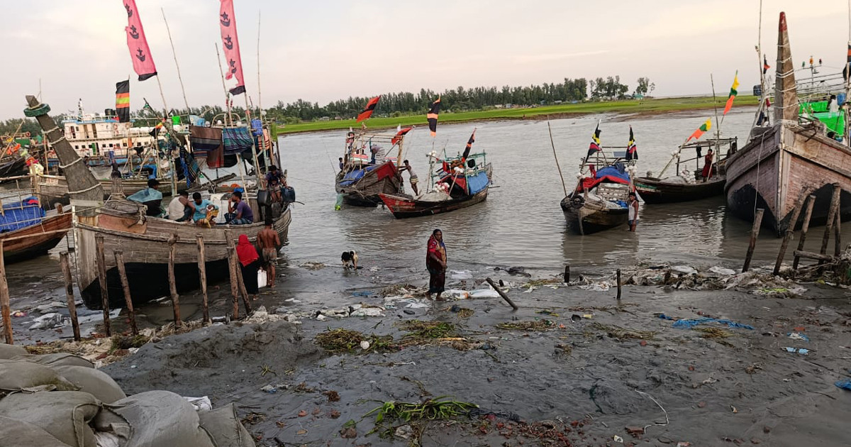 ‘জাটকা নিধন ও ট্রলিং জাহাজের কারণে’ নোয়াখালীতে ইলিশের আকাল