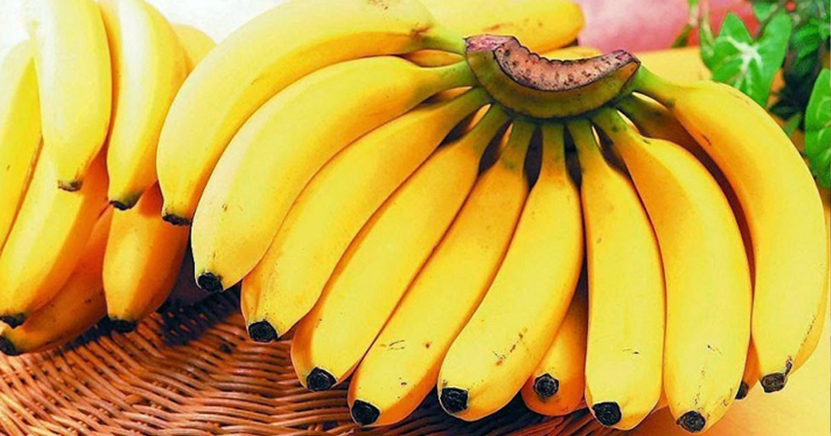সিগারেট না খেয়ে কলা খাবেন কেনো?