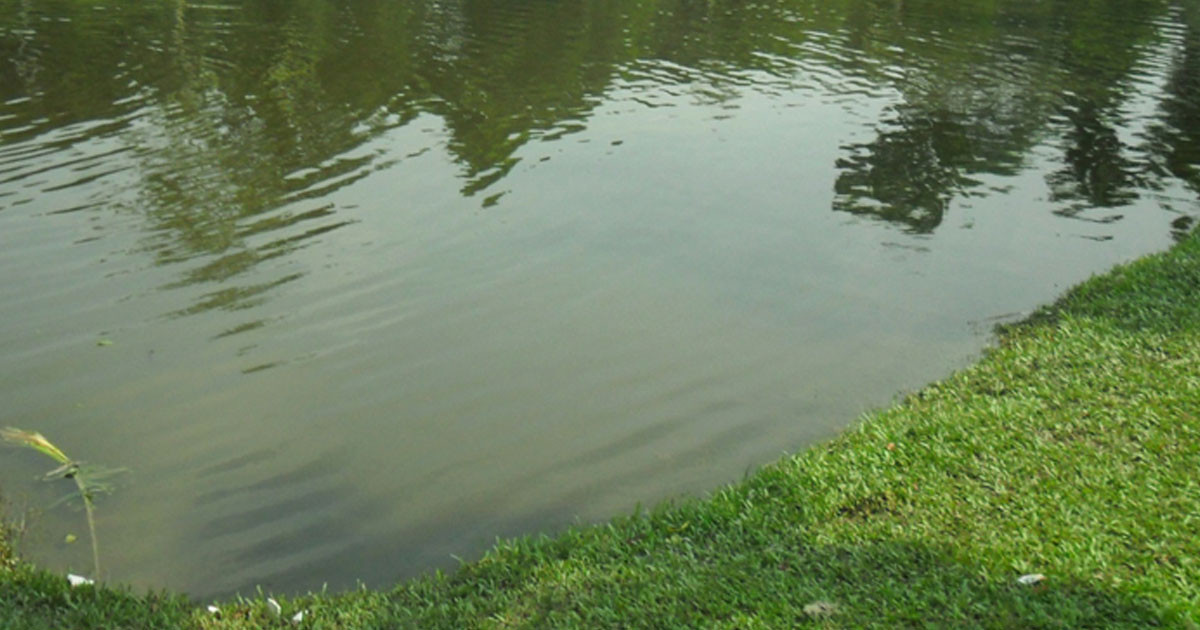 ভোলায় পুকুরে ডুবে দুই খালাতো বোনের মৃত্যু