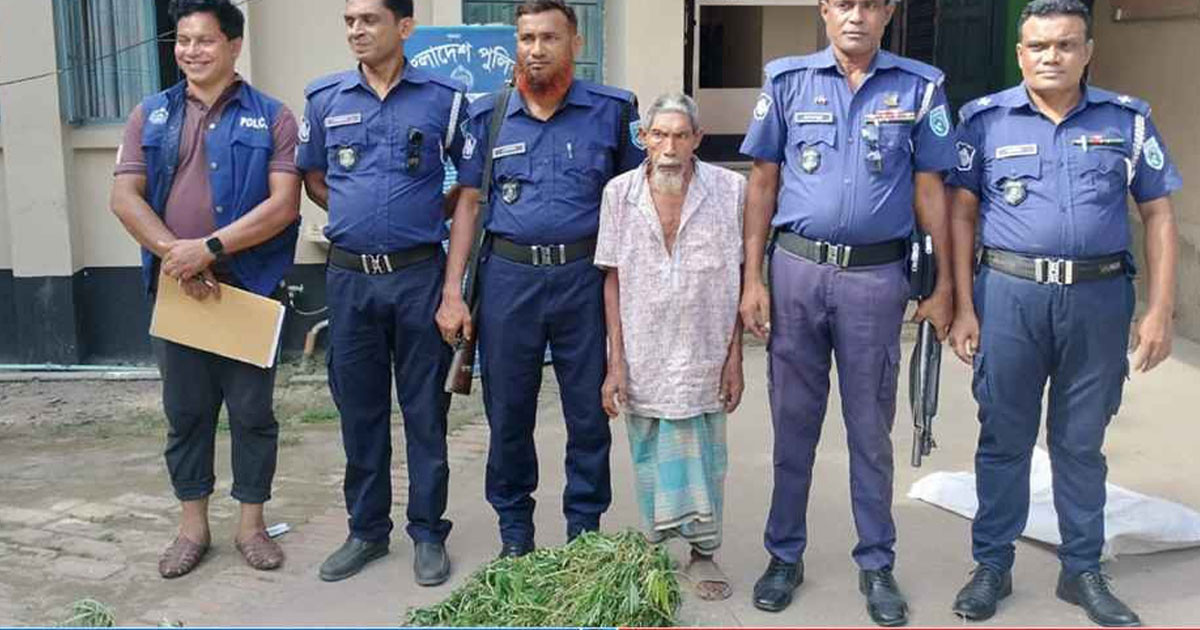 গাঁজা শুকাতে দিয়ে বৃদ্ধ আটক