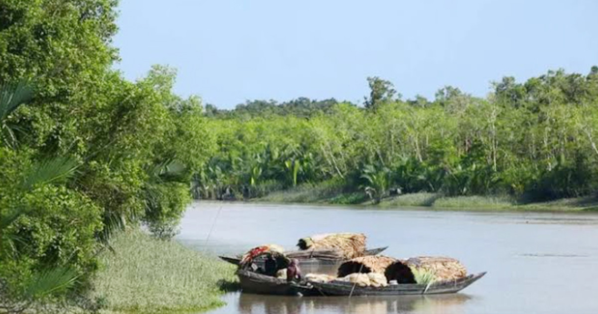 তিন মাস পর ফের সুন্দরবনে প্রবেশের অনুমতি