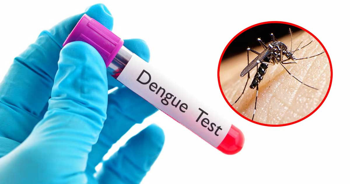 একদিনে ডেঙ্গুতে ৪ মৃত্যু, হাসপাতালে ভর্তি ৫৬৮