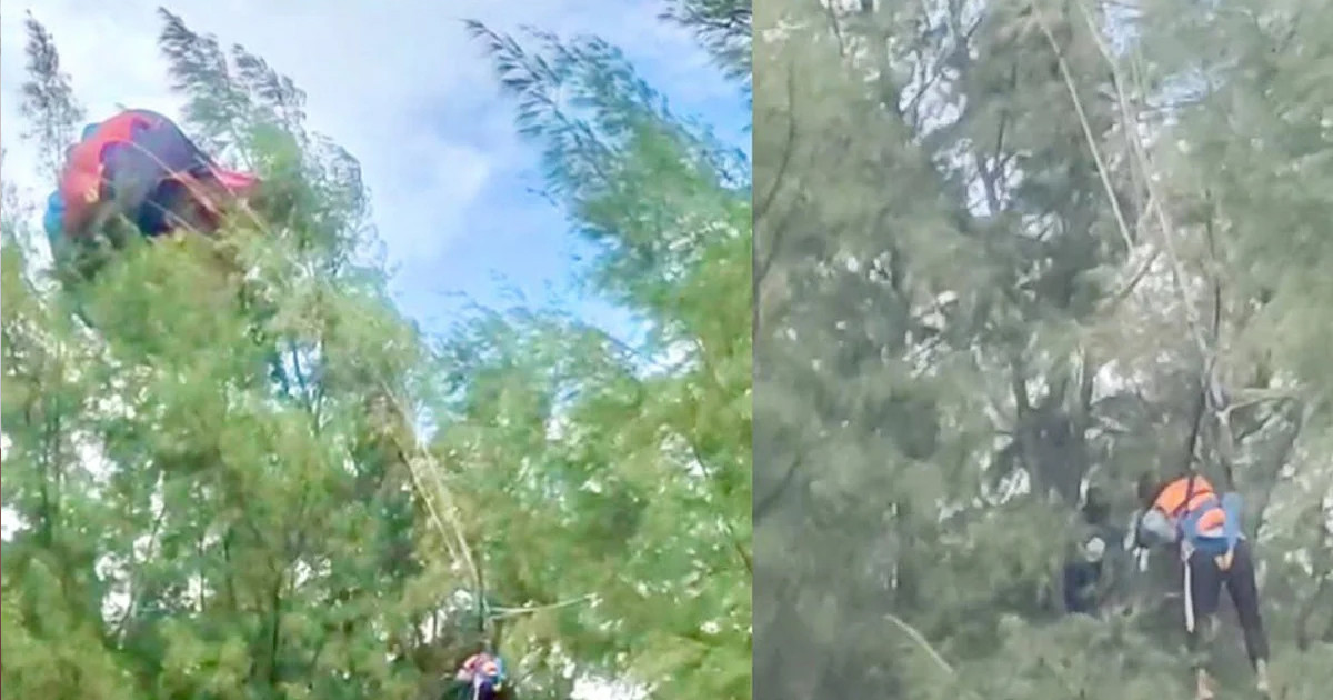 কক্সবাজারে গিয়ে গাছে ঝুলে রয়েছেন পর্যটক, গলার কাটা যেনো প্যারাসেলিং