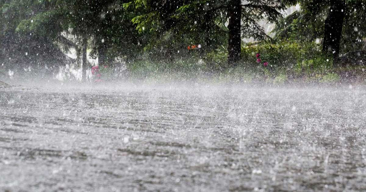 যেসব এলাকায় ভারী বৃষ্টি নিয়ে দুঃসংবাদ