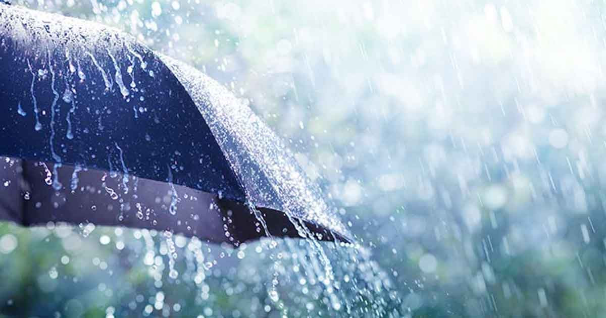 কবে থেকে বাড়বে বৃষ্টি, জানালেন আবহাওয়াবিদ