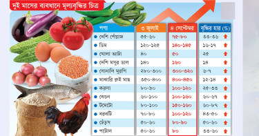 স্বল্প আয়ে সংসার চালাতে হিমশিম