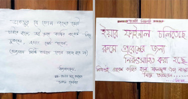 ‘ভোট চাইতে হলে বিরিয়ানি-কাচ্চির বাজেট নিয়ে ঢুকবেন’, শিক্ষার্থীদের অভিনব কৌশল