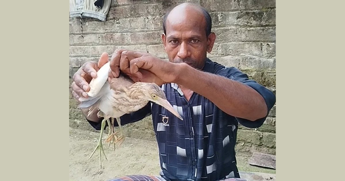 চার পায়ের বক!