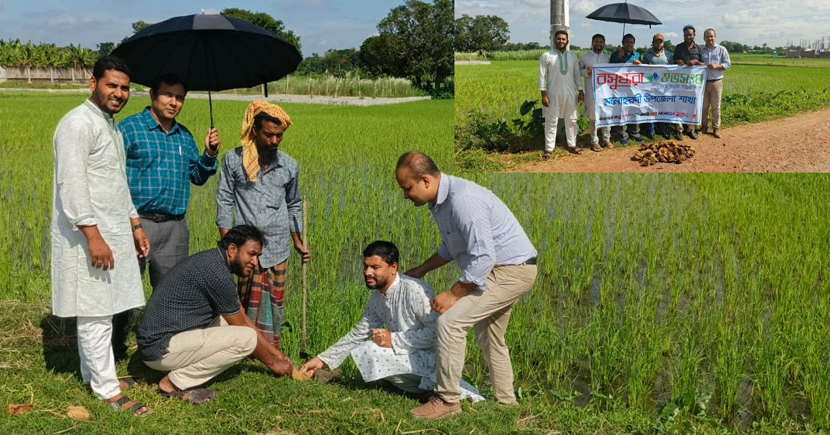 বজ্রপাত থেকে প্রাণহানি রোধে মনোহরদীতে বসুন্ধরা শুভসংঘের তালবীজ রোপণ কর্মসূচি
