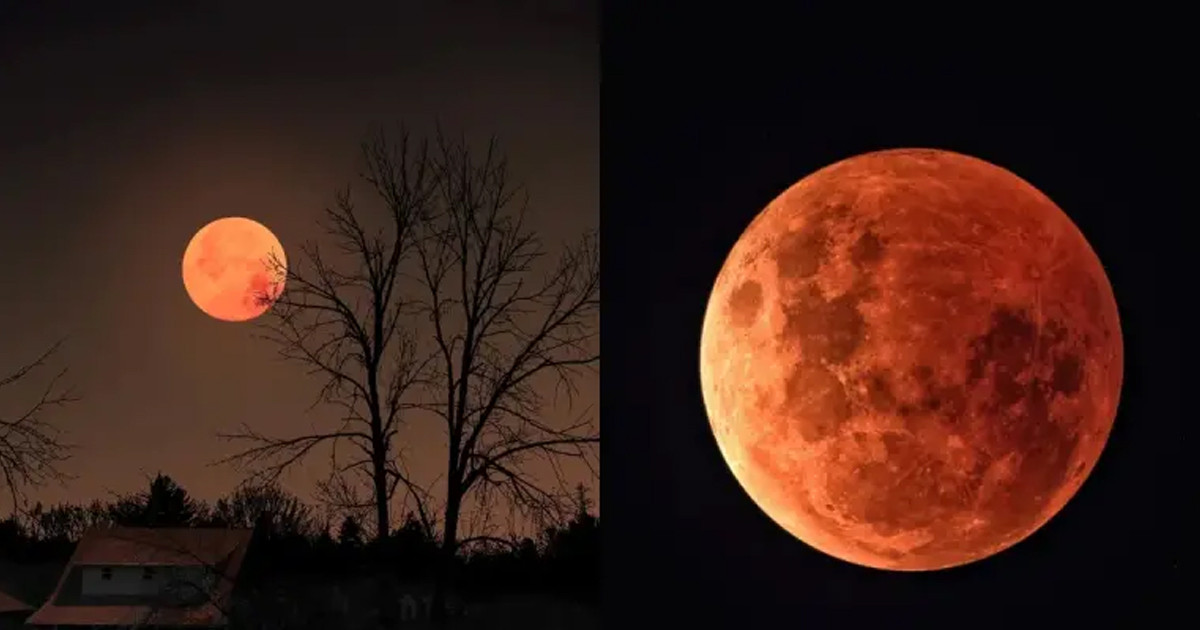 যে লক্ষণে বুঝবেন চন্দ্রগ্রহণ শুরু হয়েছে