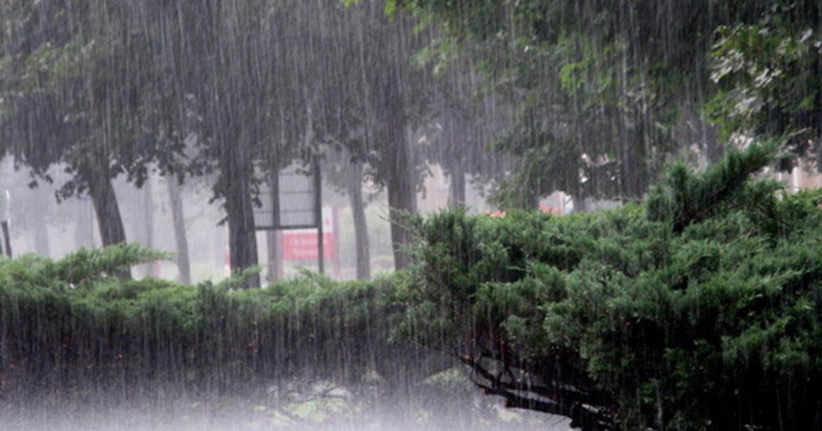 সকাল ৯টার মধ্যে কোথায় কেমন বৃষ্টি, জানালো আবহাওয়া অফিস