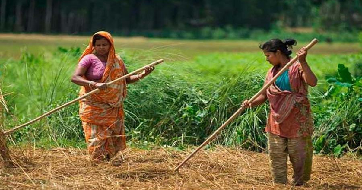 গৃহস্থালিতে নারীর অদৃশ্য শ্রমের মূল্য ৫ লাখ ৭০ হাজার কোটি