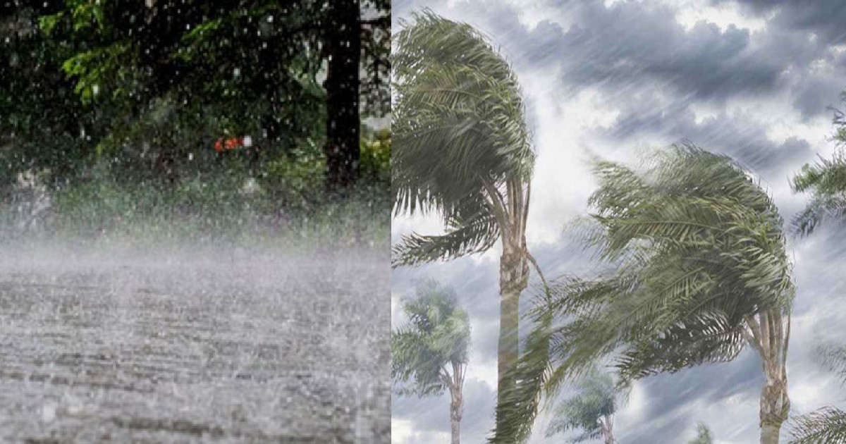 আজ দিন ও রাতে কখন-কোথায় বৃষ্টি, জানালো আবহাওয়া অফিস