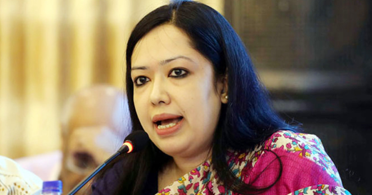 দেশে বিনিয়োগ কমছে, মব বাড়ছে: রুমিন ফারহানা