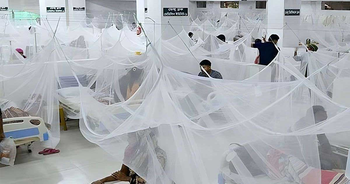 ডেঙ্গুতে ২৪ ঘণ্টায় তিনজনের মৃত্যু