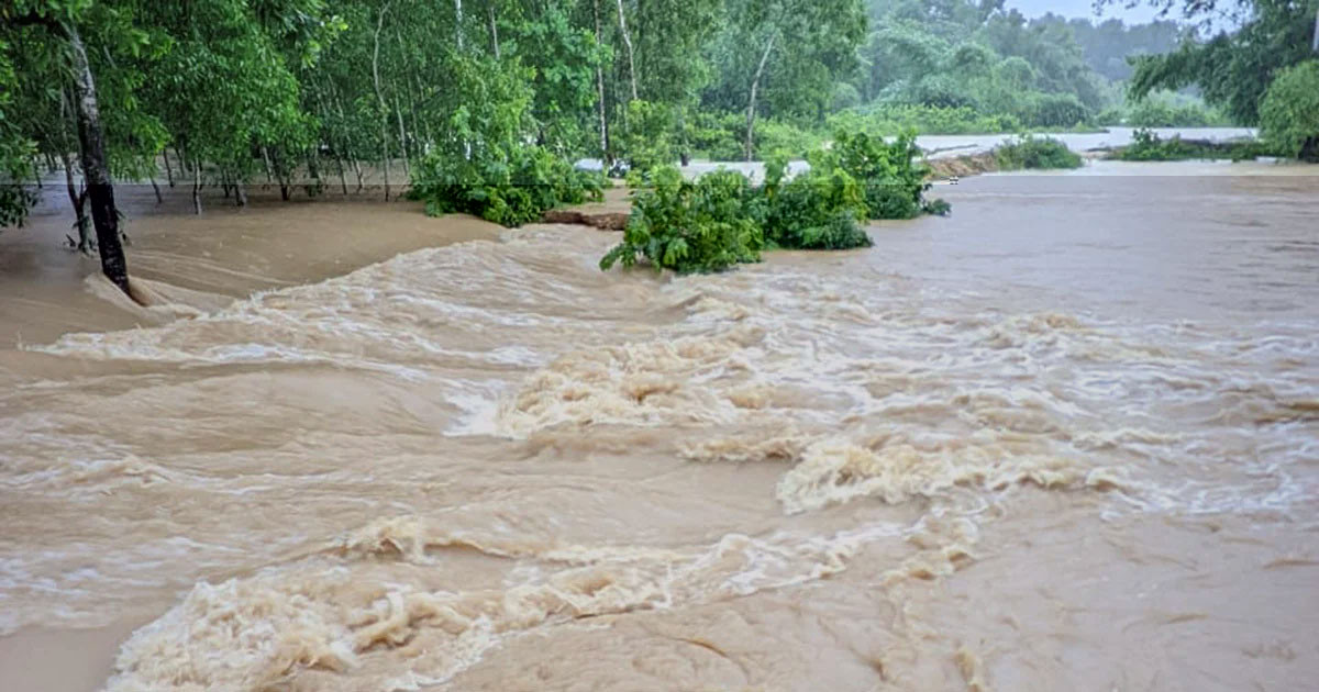 যে ১২ জেলায় হতে পারে বন্যা