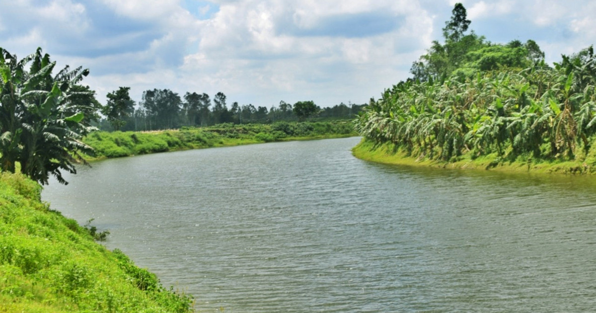 নদীতে পাওয়া গেলো শিক্ষিকার মরদেহ