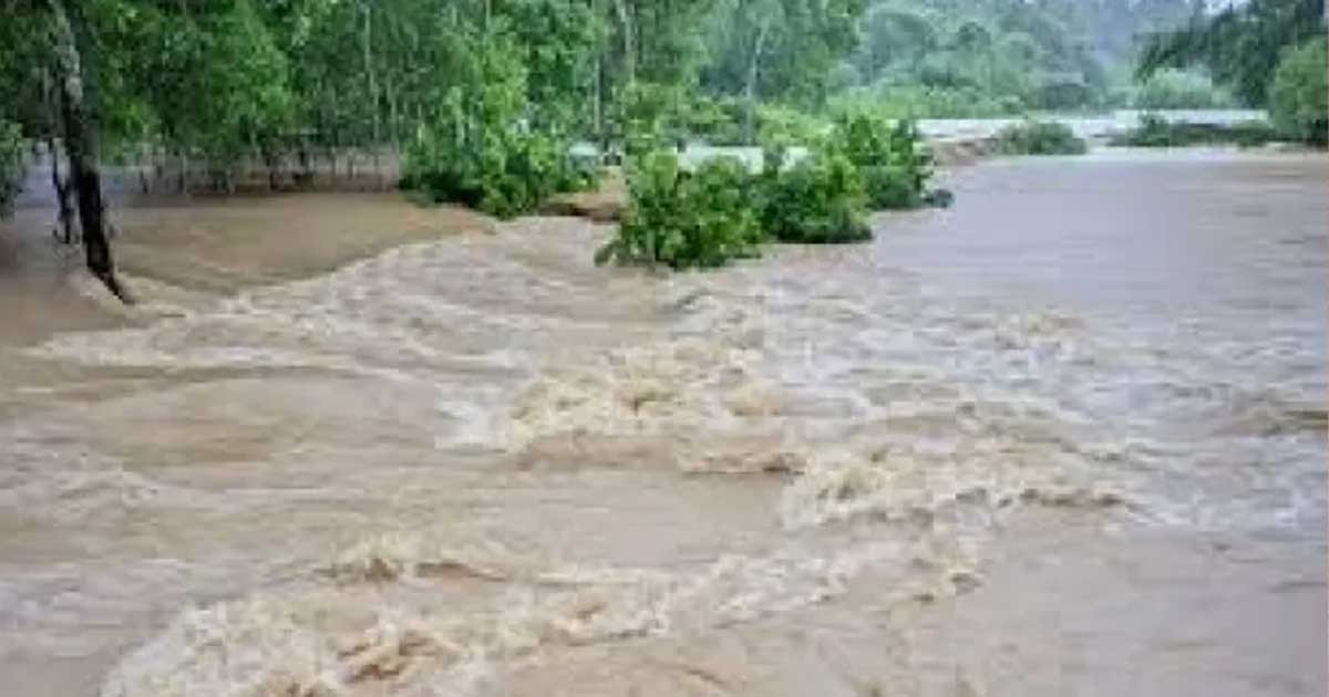 ৯ জেলায় বন্যা নিয়ে নতুন সতর্কবার্তা