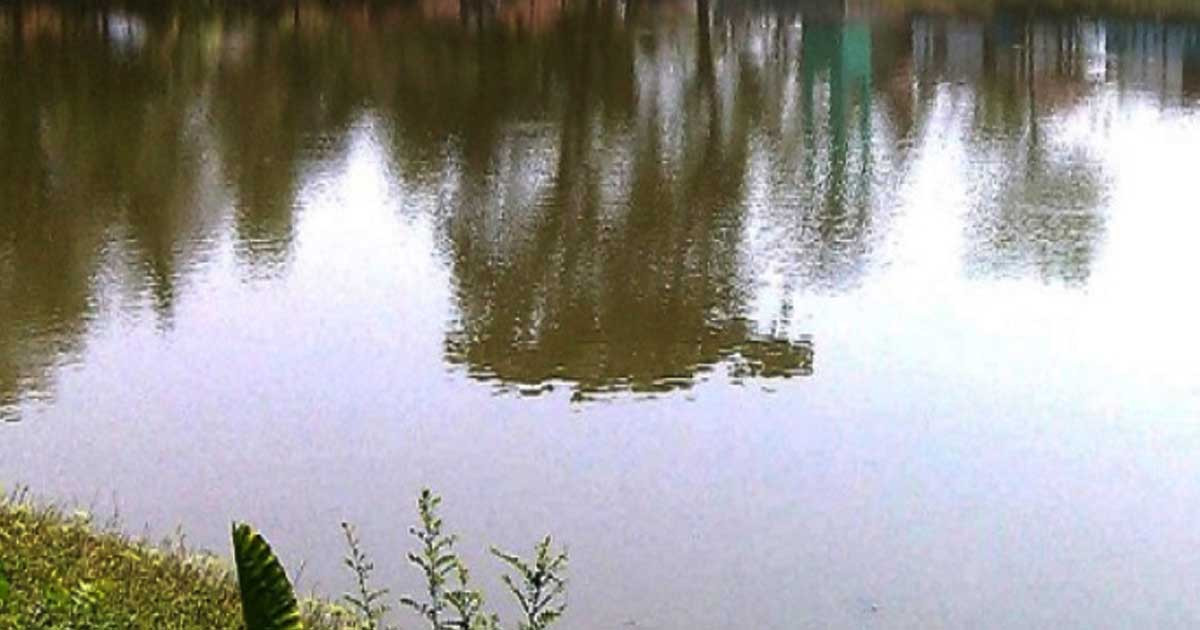 ঈশ্বরদীতে পুকুরে ডুবে ভাই-বোনের মৃত্যু