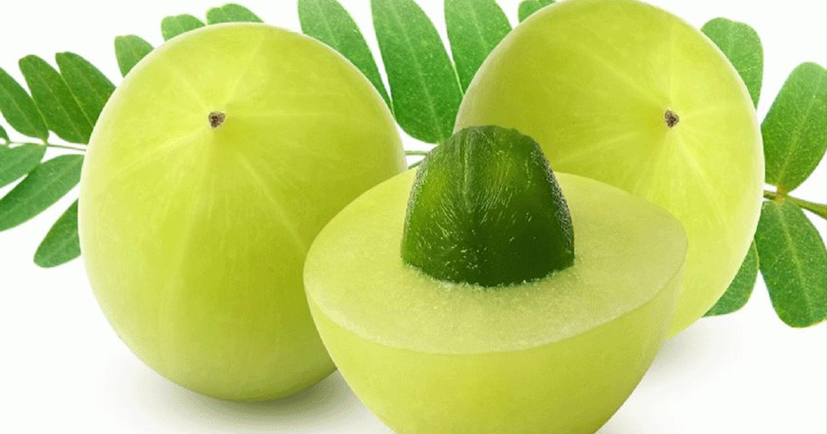কেন প্রতিদিন আমলকী খাবেন