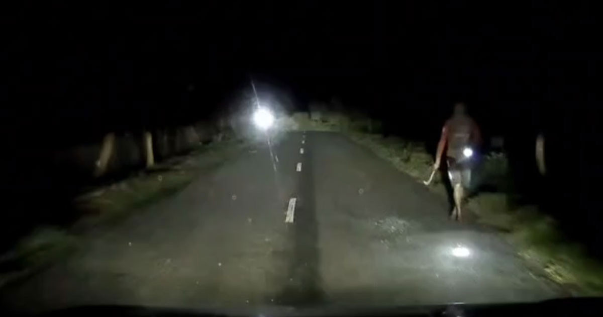 রাতের আঁধারে সড়কে গাছ ফেলে হঠাৎ রামদা হাতে ডাকাতের হানা! ভিডিও ভাইরাল