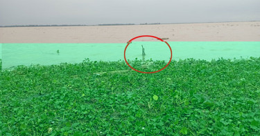 যমুনা নদীর পানি সিরাজগঞ্জ পয়েন্টে বাড়ছে