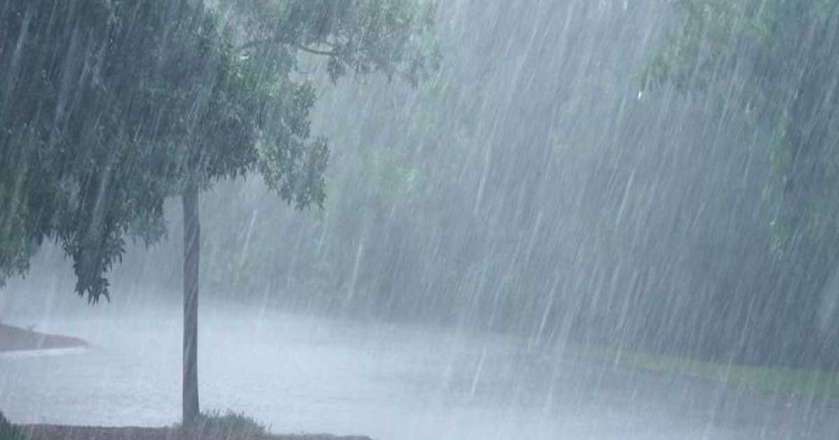 আগামী পাঁচদিন কোথায় কেমন বৃষ্টি হবে, জানালো আবহাওয়া অফিস