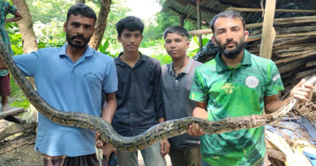 চট্টগ্রামে ৮ ফুট লম্বা অজগর উদ্ধার
