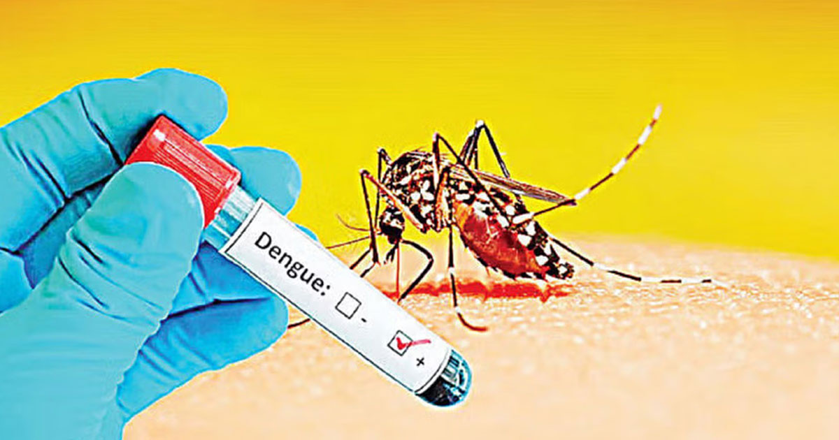 ডেঙ্গুতে একদিনে সর্বোচ্চ ১২ জনের মৃত্যু
