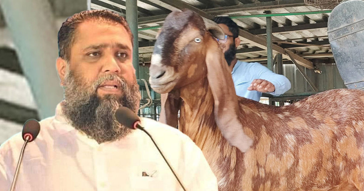 ছাগলকাণ্ডে আলোচিত সাদিক অ্যাগ্রোর সেই ইমরান এবার হত্যা মামলায় গ্রেপ্তার