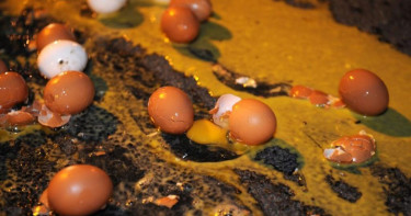 ডিম নিক্ষেপ শুধু অপমানই নয়, এক রাজনৈতিক বার্তাও