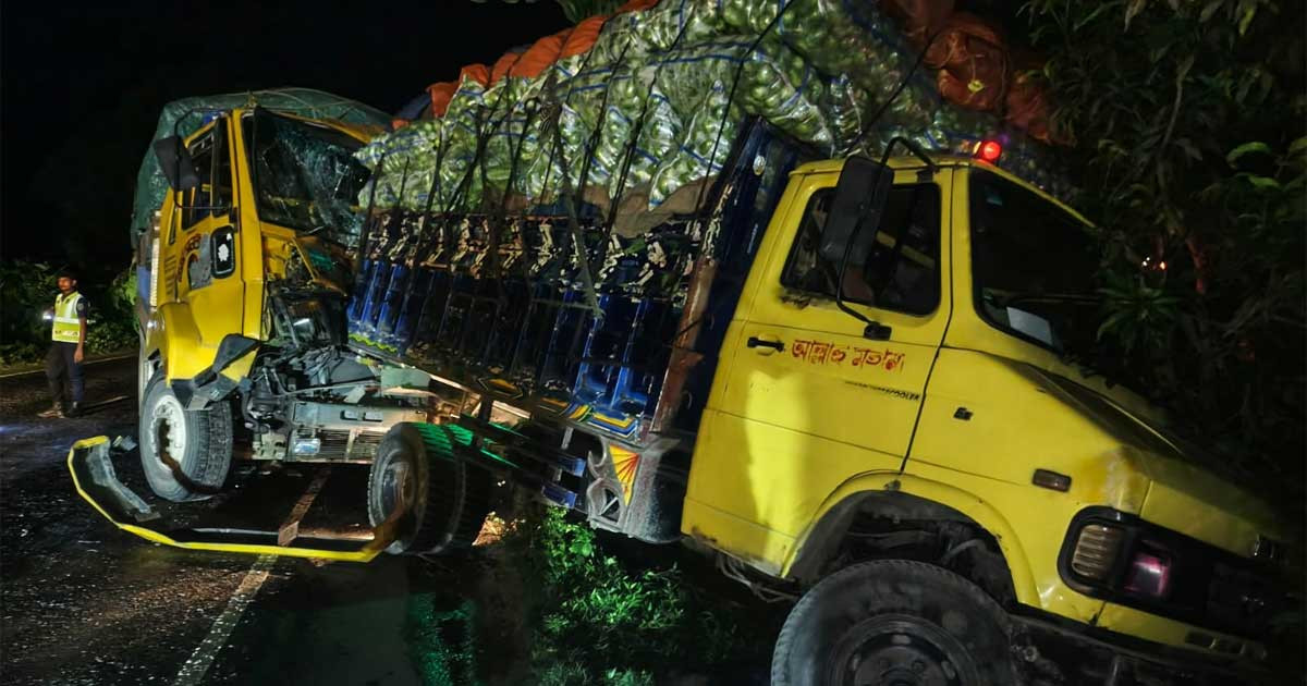 রাজবাড়ীতে পণ্যবাহী ট্রাক চাপায় নিহত ২