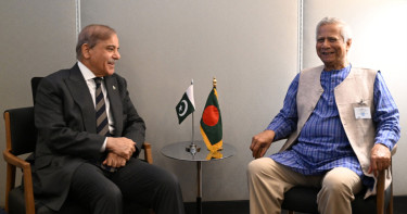 আরেকজন স্বৈরশাসকের উত্থান রোধ করাই সংস্কারের লক্ষ্য