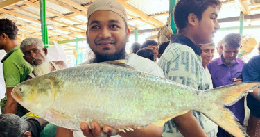 আড়াই কেজি ওজনের ইলিশ বিক্রি হলো ১৪ হাজার টাকা