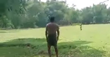 দুই বাংলাদেশিকে পিটিয়ে গরু নিয়ে গেল বিএসএফ