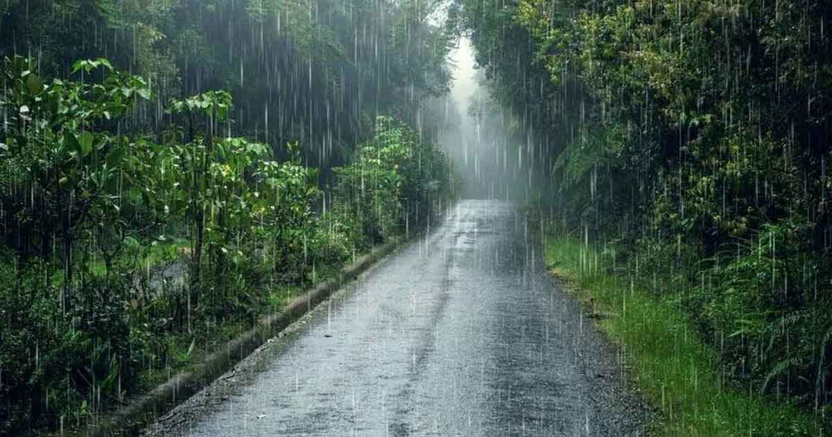 বৃষ্টি ঝরবে সব বিভাগে, যেমন থাকতে পারে তাপমাত্রা