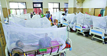 ডেঙ্গুতে ঝরল আরও তিন প্রাণ, হাসপাতালে ভর্তি ৭৩৫