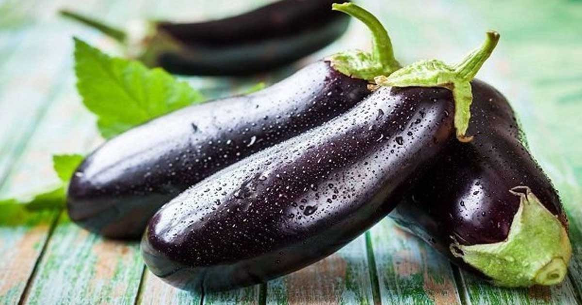 যেভাবে বুঝবেন বেগুনে পোকা আছে কি না
