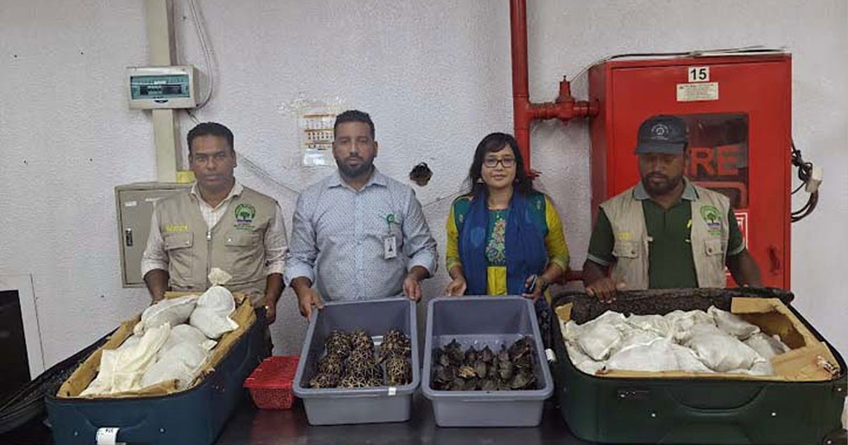 হজালাল আন্তর্জাতিক বিমানবন্দর থেকে বিপুল পরিমাণ কচ্ছপ জব্দ