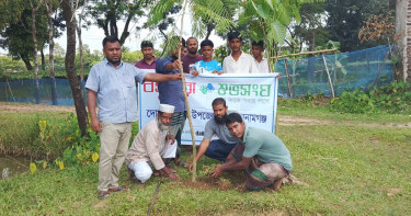 দোয়ারাবাজারে বসুন্ধরা শুভসংঘের বৃক্ষরোপণ কর্মসূচি