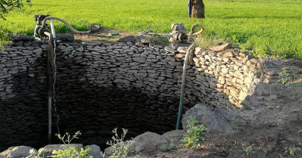 ৫৪ ঘণ্টা সাপভর্তি কুয়োয়, ‘অলৌকিকভাবে’ প্রাণে বেঁচে ফিরলেন নারী!