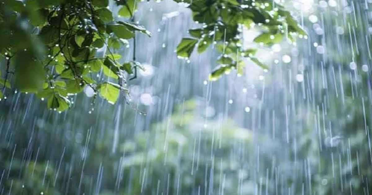 টানা পাঁচ দিন বৃষ্টির আভাস, জানা গেল কবে থেকে কমতে পারে